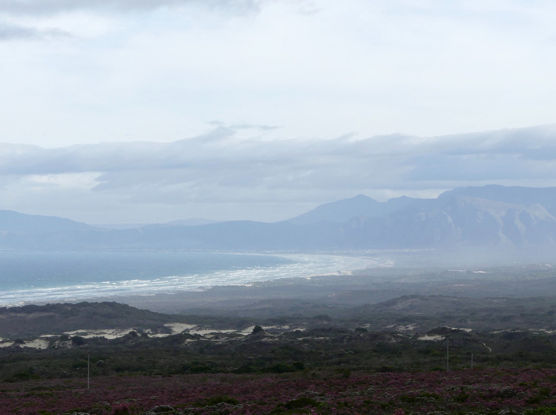 大森林私人自然保护区酒店主图
