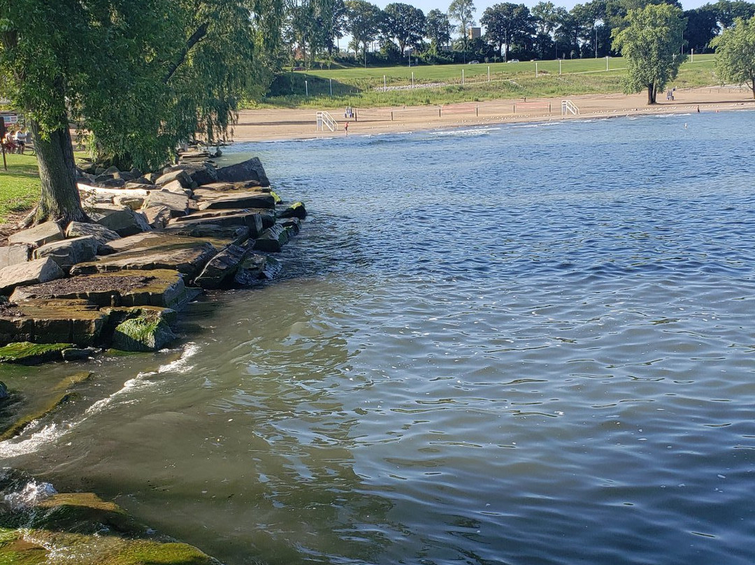 Edgewater Park景点图片