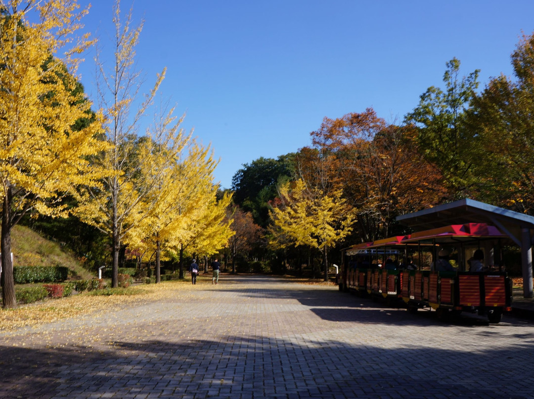 Chichibu Muse Park-小鹿野町必去景点