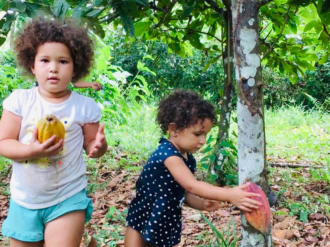 Finca Montezuma Chocolate Farm-Bocatorito必去景点