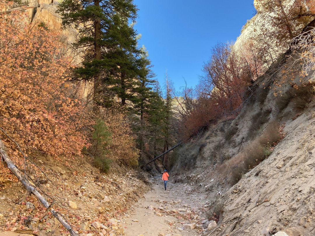 Lick Wash Slot Canyon-卡纳布必去景点
