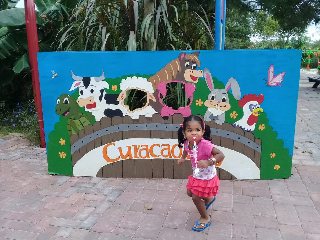 Curacao Zoo景点图片