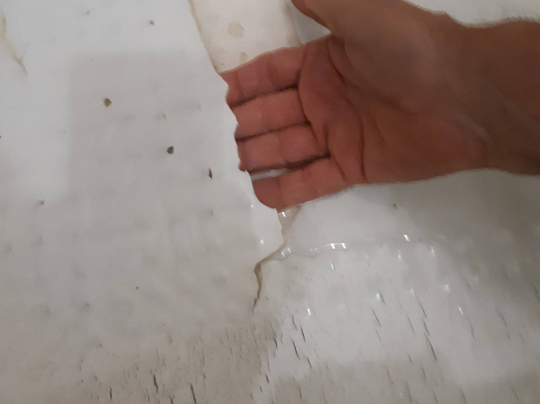 Mount 'n' Mist主图