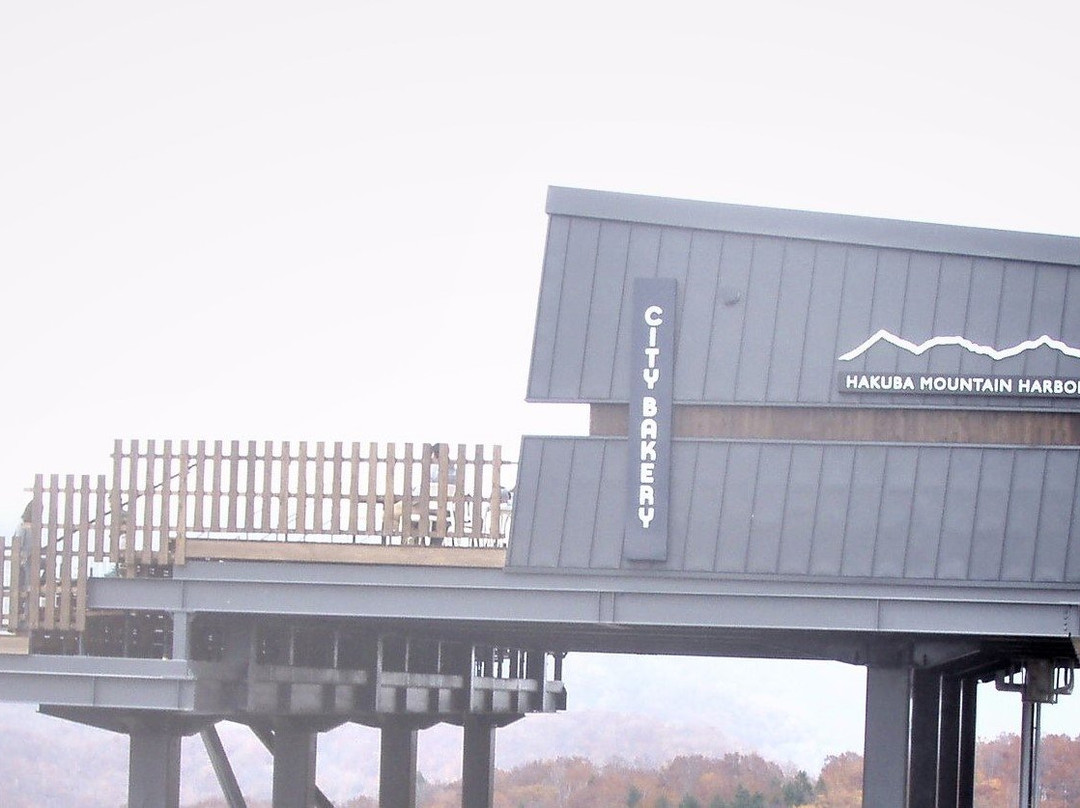 Hakuba Mountain Harbor景点图片