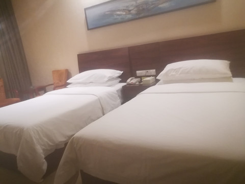 维也纳智好酒店(广州东站店)主图