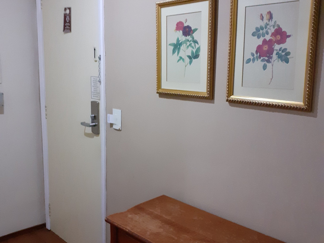 Castel Plaza Hotel主图