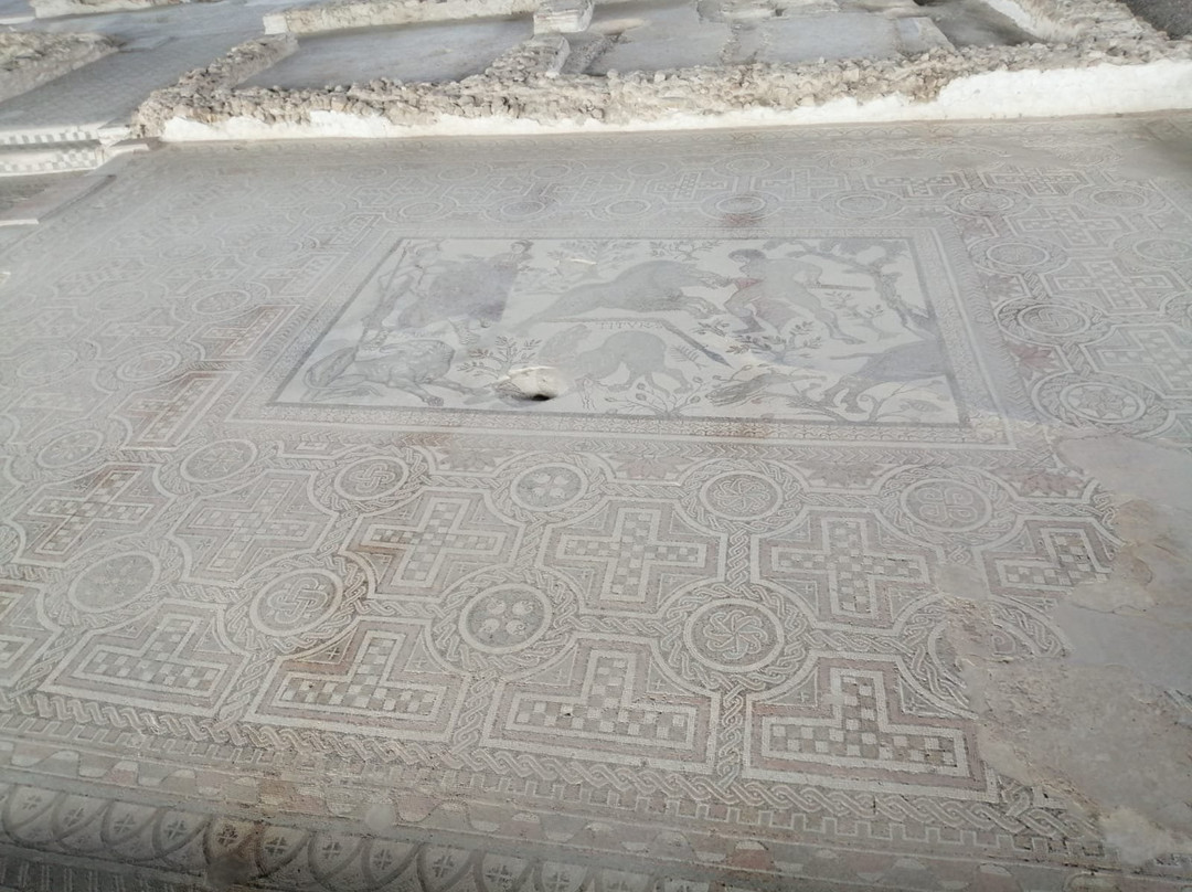 Parque Arqueologico de Carranque景点图片