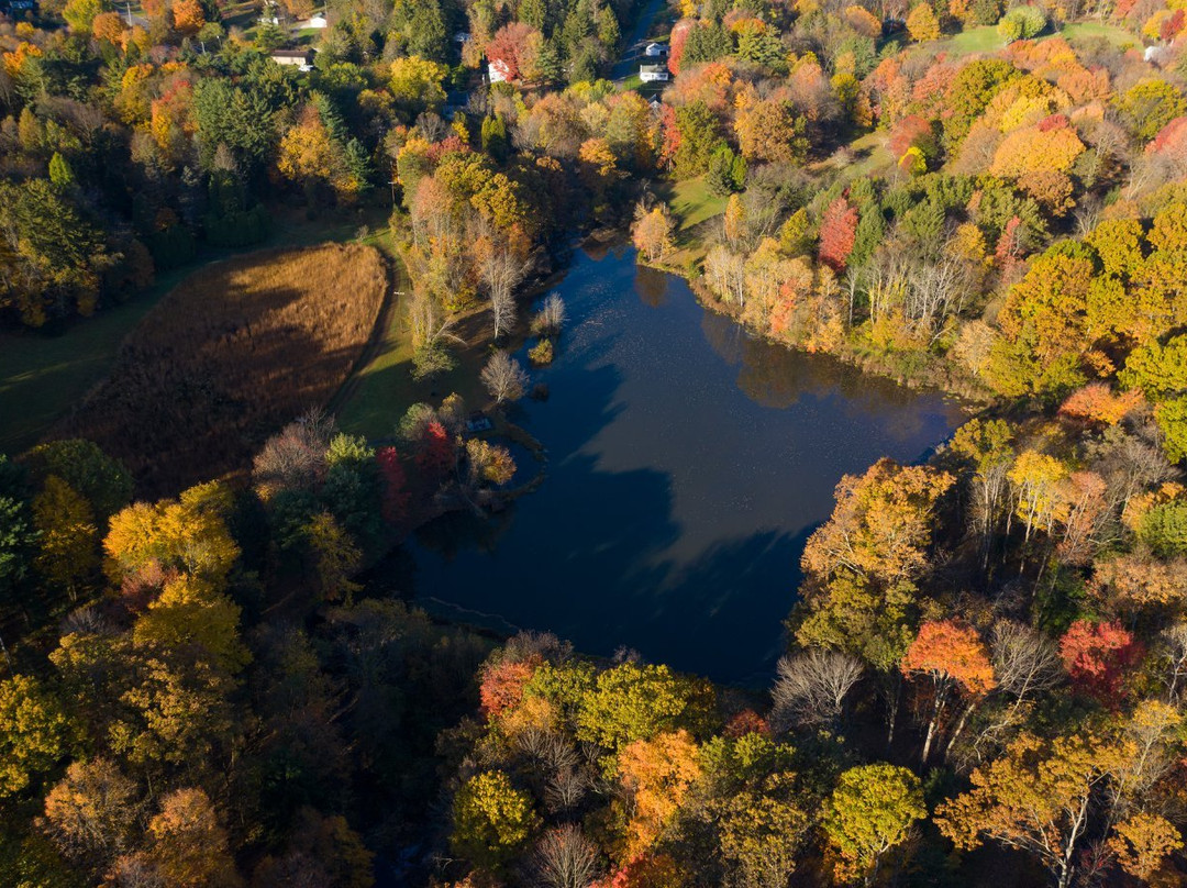 Preston Park旅游攻略图片