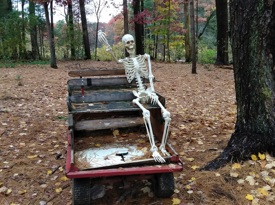 Winslow Farm Animal Sanctuary-Norton必去景点