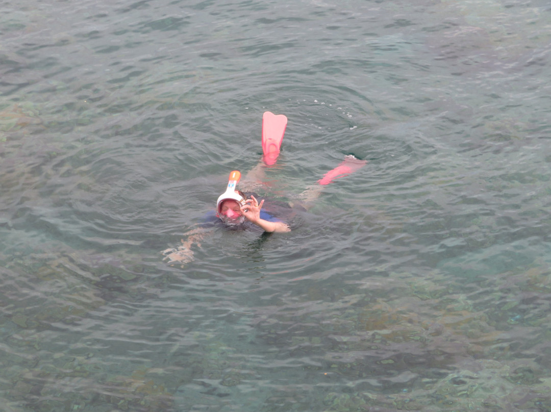 乐园塔韦马尼酒店主图