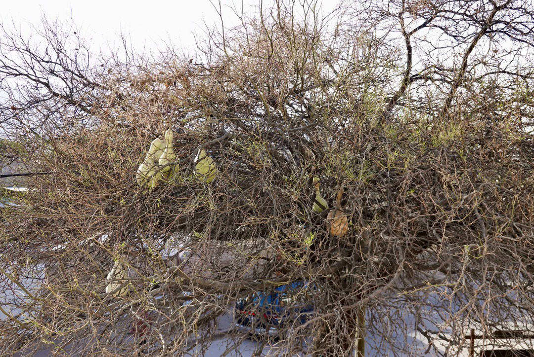 Hotel Portal del Santo Salta Cafayate主图