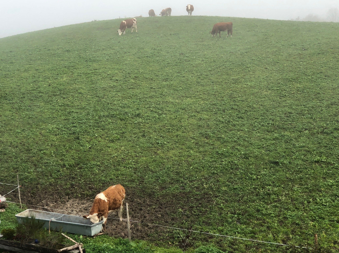 La Ferme du Bourgoz主图