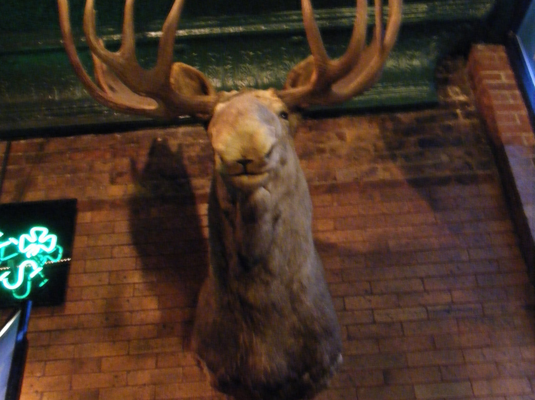 Soo Brewing Company-Sault Ste. Marie必去景点