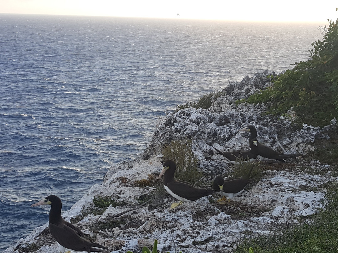 Lighthouse Footpath-Cayman Brac必去景点