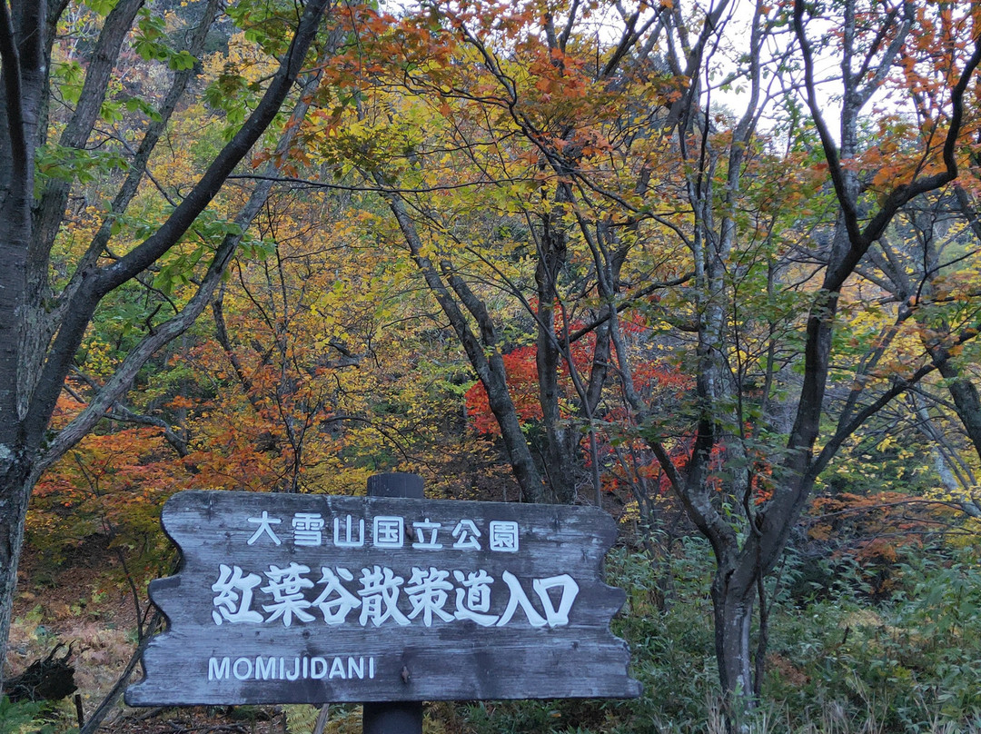 Sounkyo Momojidani-上川町必去景点