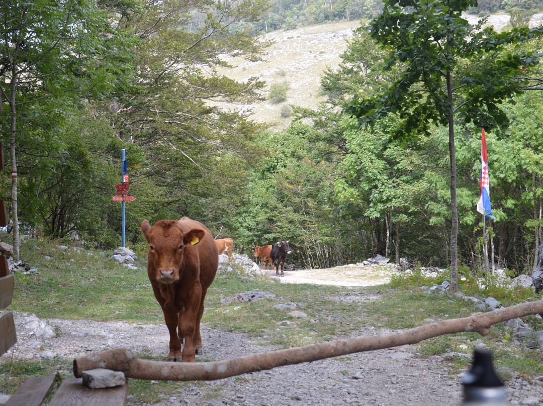 Northern Velebit National Park景点图片