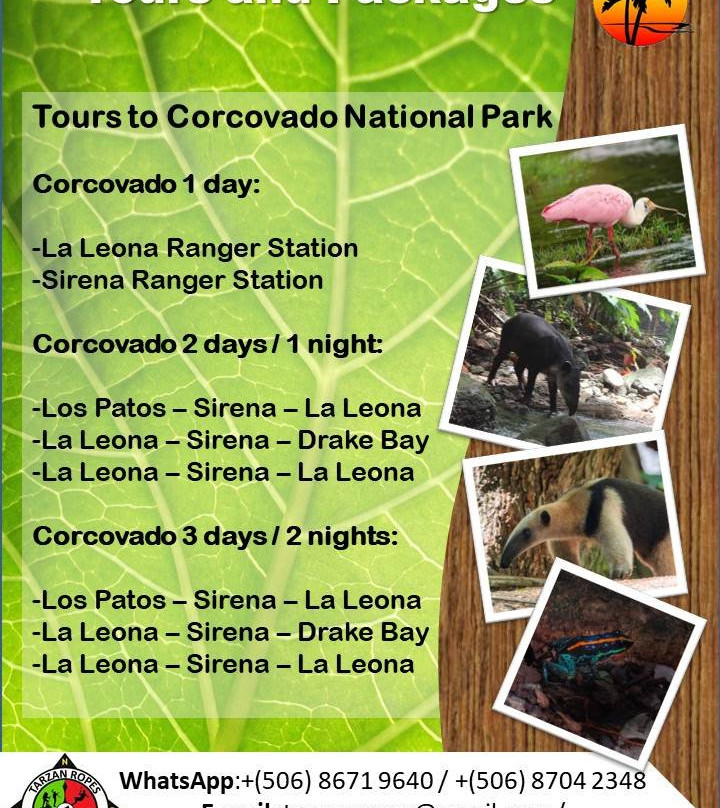 The Corner Airbnb主图