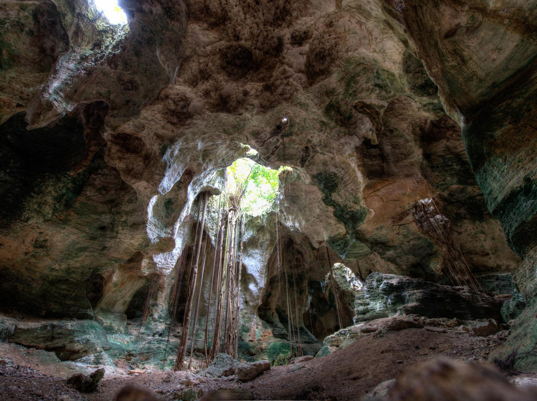 Cathedral Cave (Spider Cave)景点图片