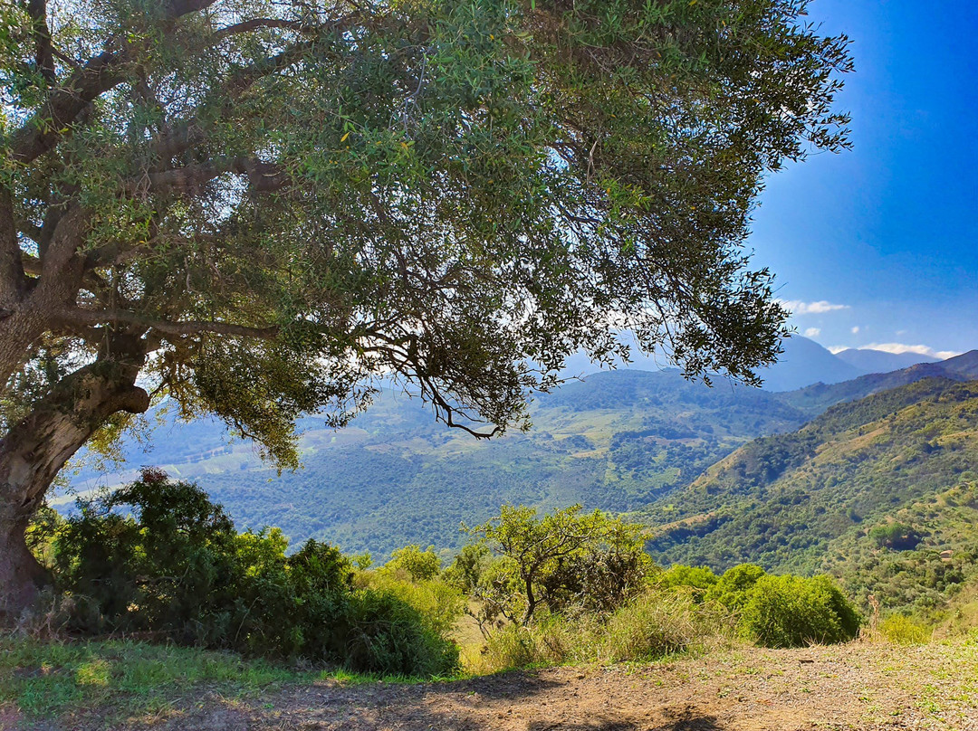Vallegrande Nature Resort By Geocharme主图