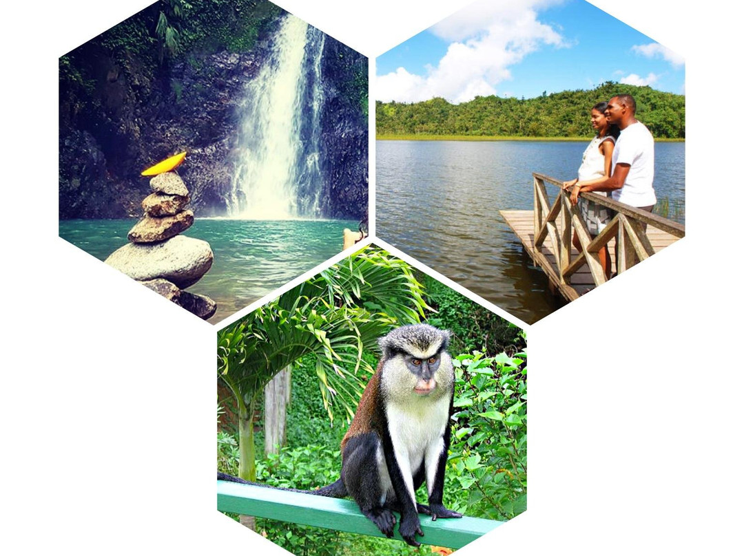 Nirraky Tours Grenada-St. George's必去景点