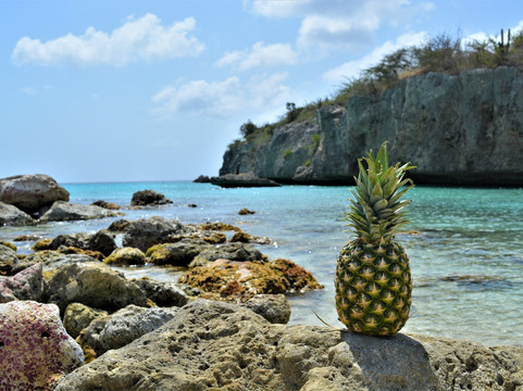 Gone Caribe-威廉斯塔德必去景点