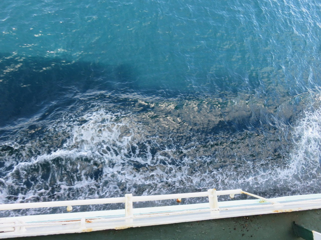 Nankai Ferry-和歌山市必去景点
