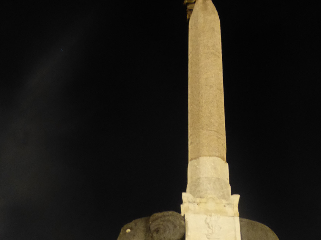 Fontana dell'Elefante景点图片