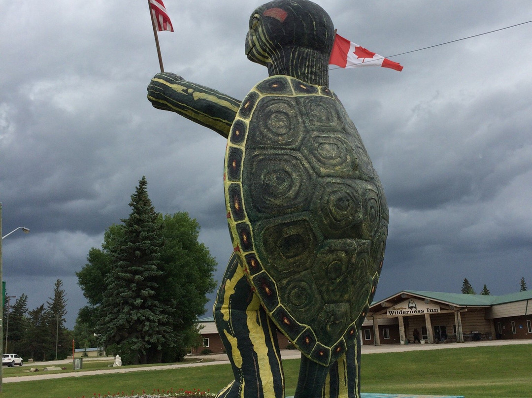 Tommy Turtle Statue景点图片