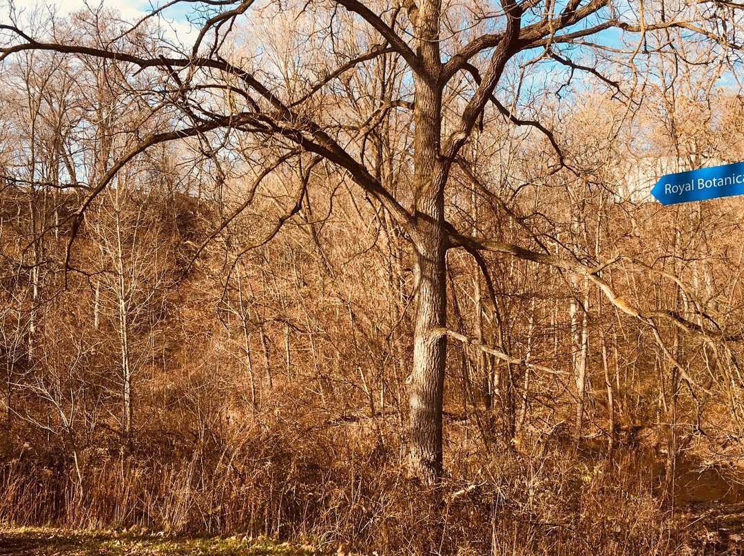 Hidden Valley Park景点图片