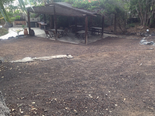 Piedra Hincada旅游攻略图片