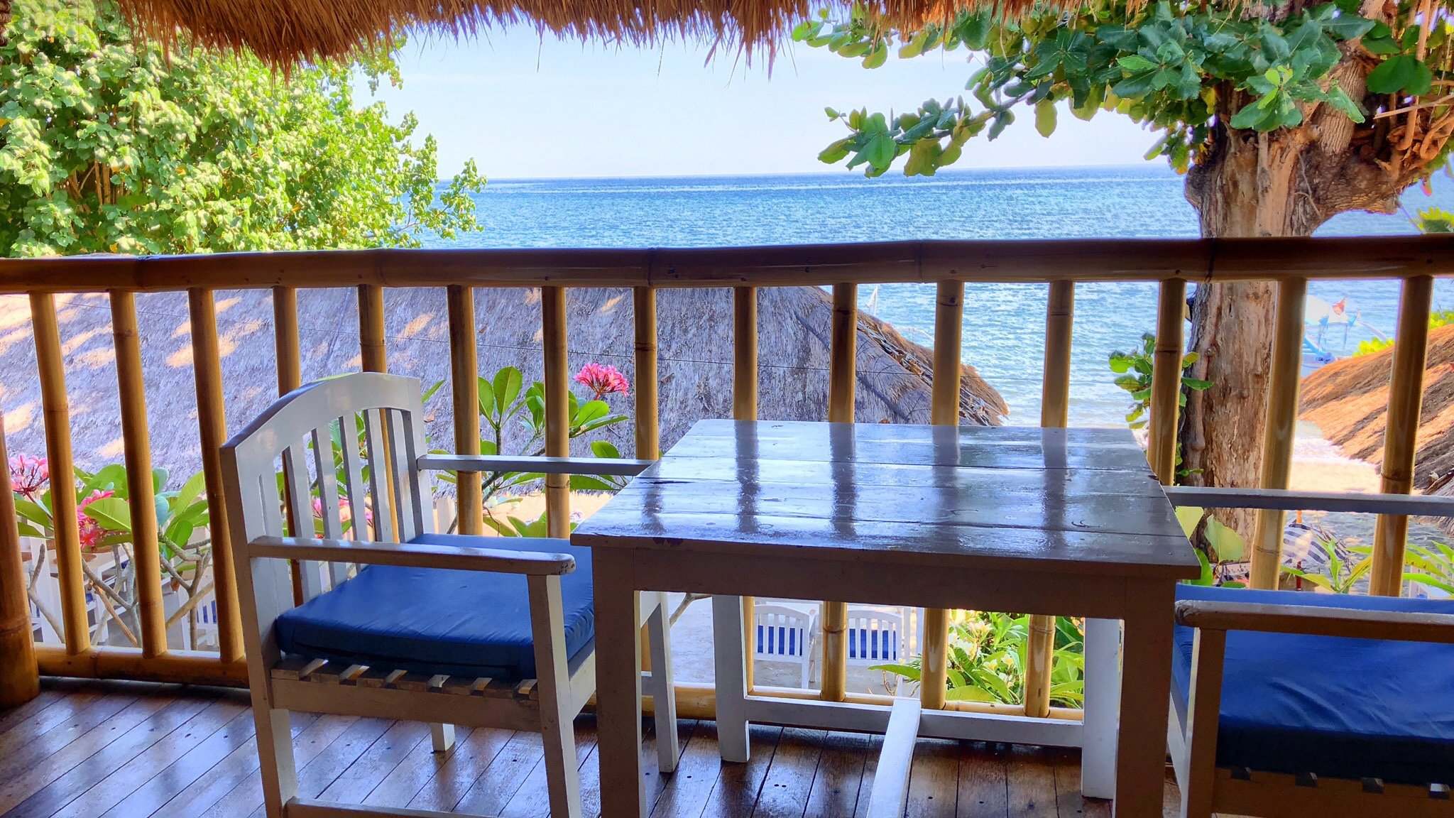 Beachouse Lovina-官方