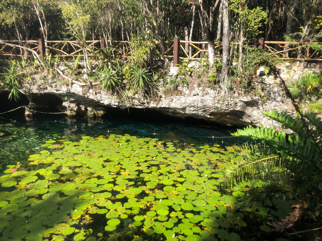 Dos Palmas旅游景点-Cenote Nicte-ha