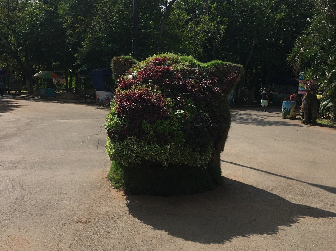 Parque Zoológico del Centenario景点图片