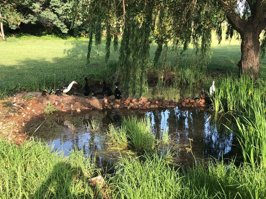 TreeTopia Guesthouse主图