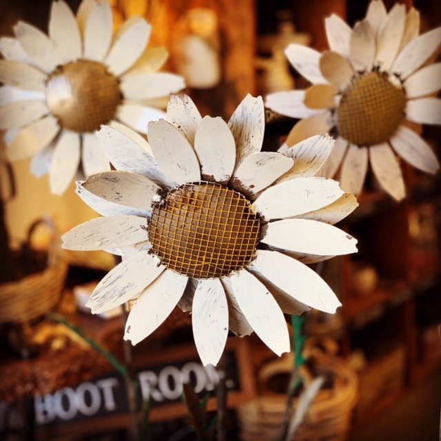 Manilla旅游景点-The Olde Farm Store