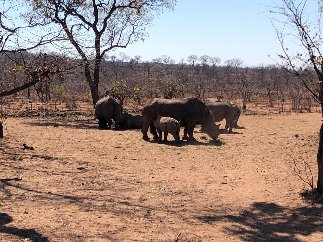 African Joined Tours and Safaris-李文斯顿必去景点