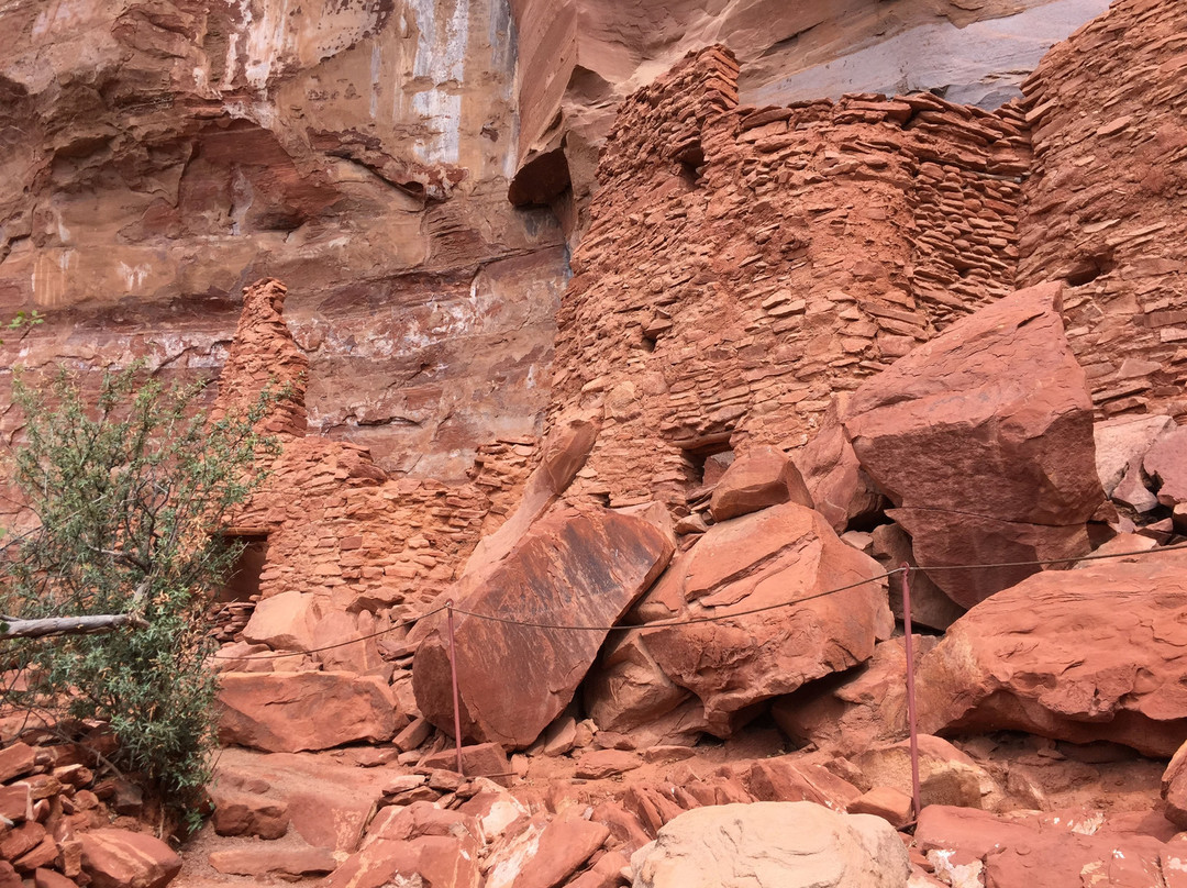 Palatki Ruins-塞多纳必去景点
