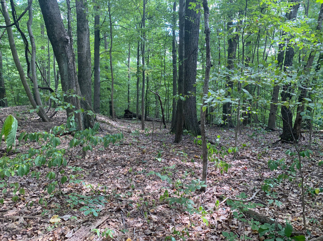 Boone Hollow Wildlife Preserve