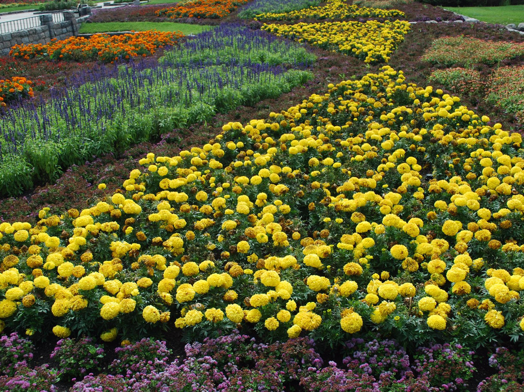 International Peace Garden景点图片