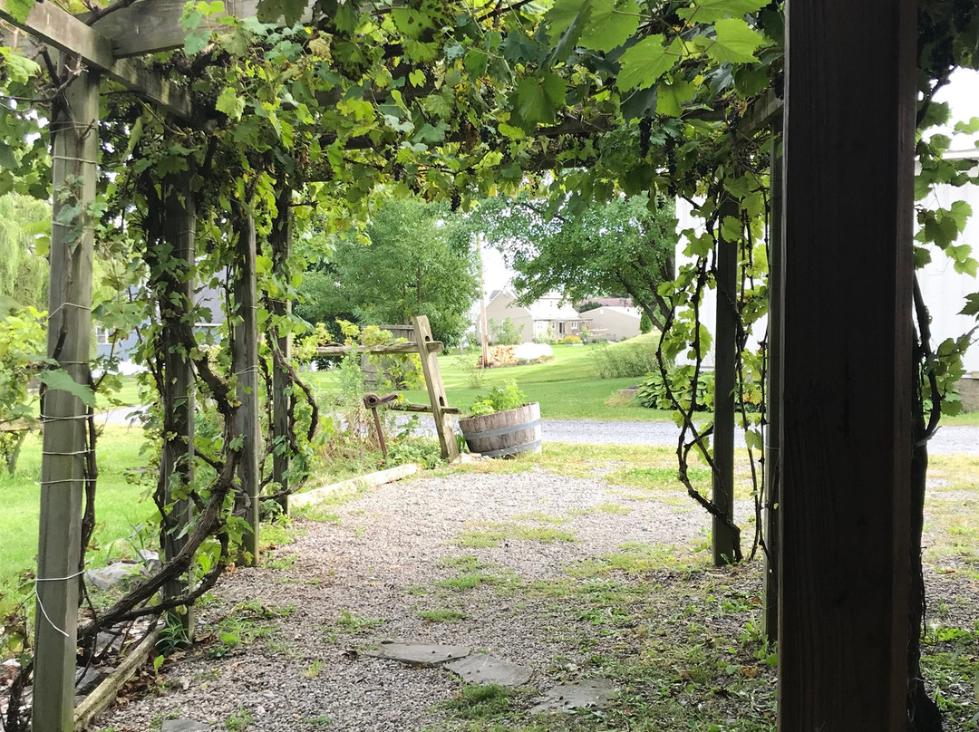 Lakeshore Winery景点图片