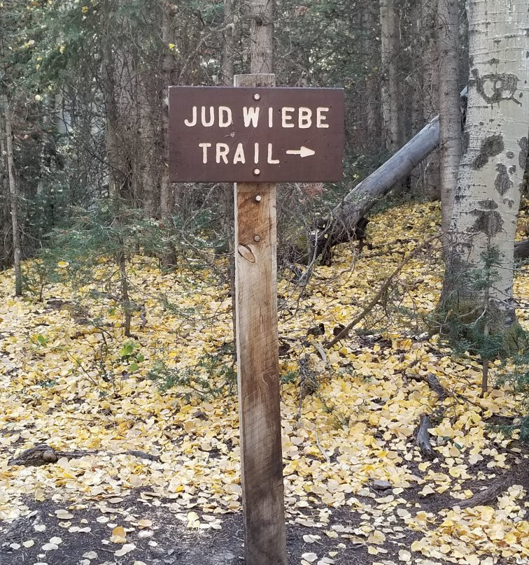 Jud Wiebe Trail-特柳赖德必去景点