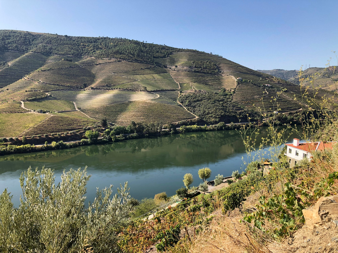 Quinta Da Marka主图