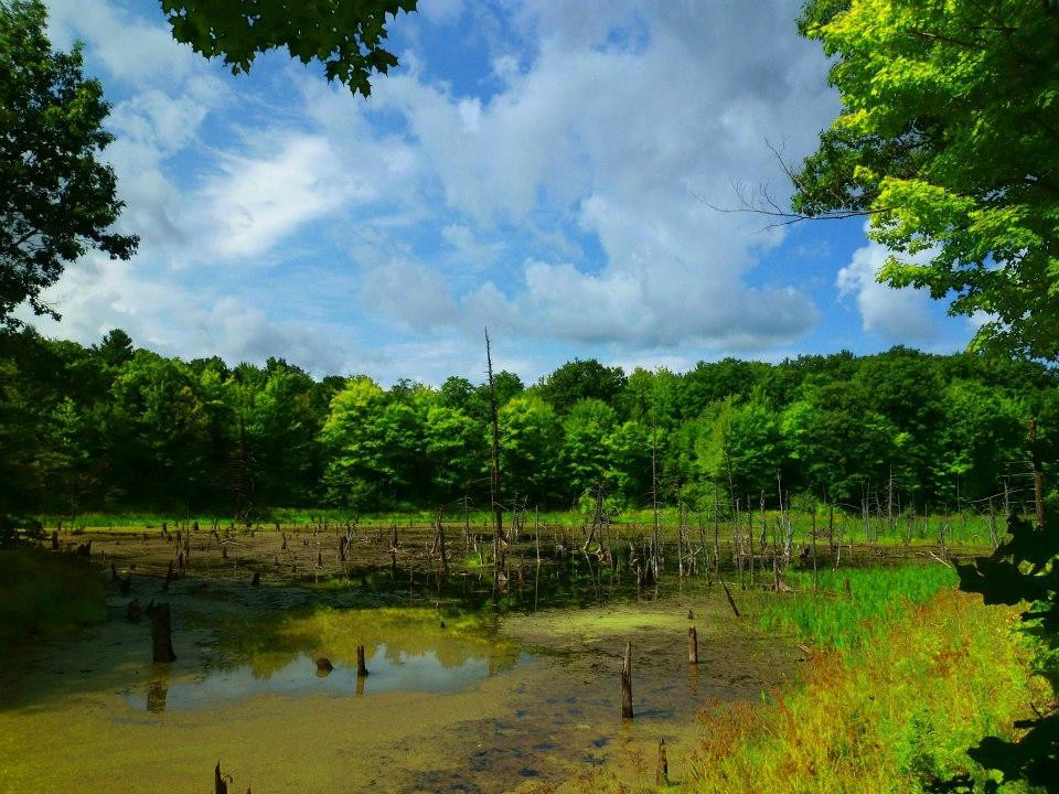 Ontario County Park at  Gannett Hill景点图片