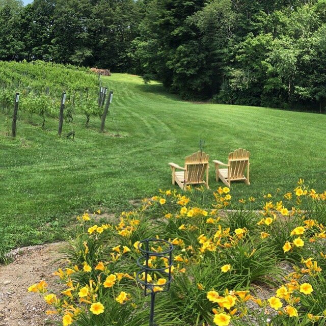 Squamscott Vineyard & Winery