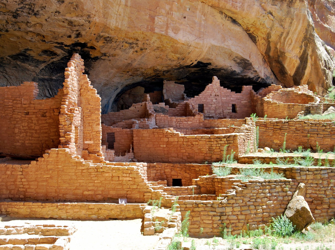 Long House-梅萨维德国家公园必去景点