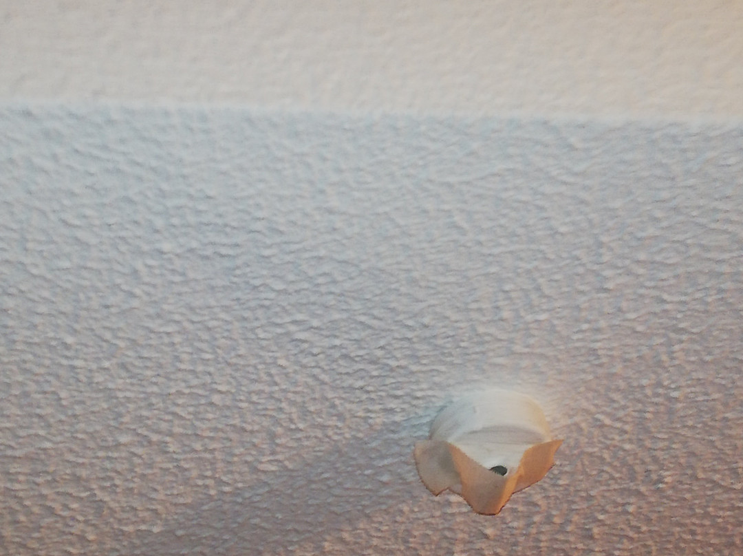 Hotel Turismo Miranda主图