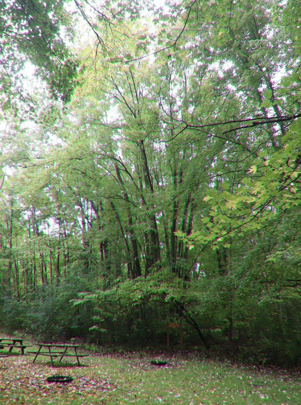 Laurel Creek Conservation Area景点图片