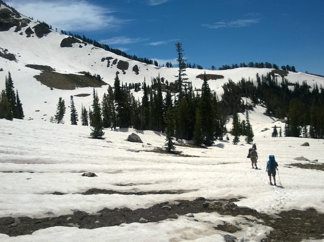 Teton Backcountry Guides景点图片