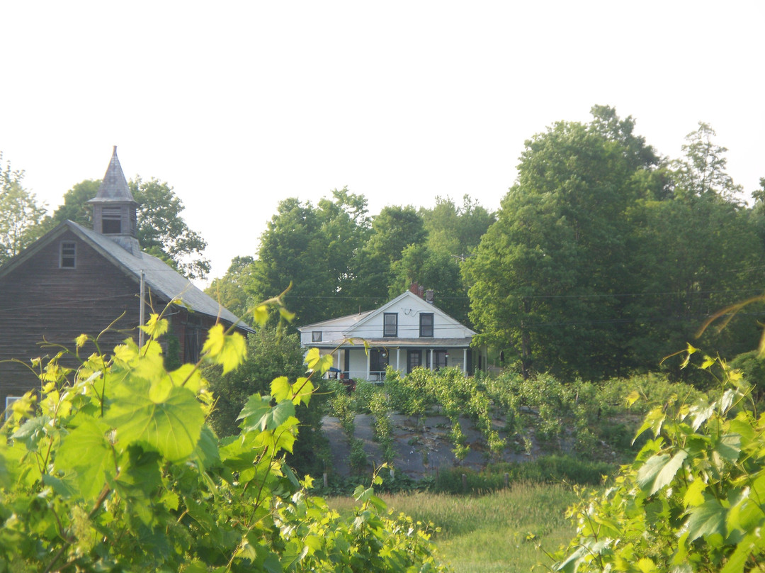 Whaleback Vineyard