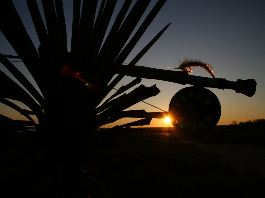 Texas Red Fish Adventures-南帕诸岛必去景点